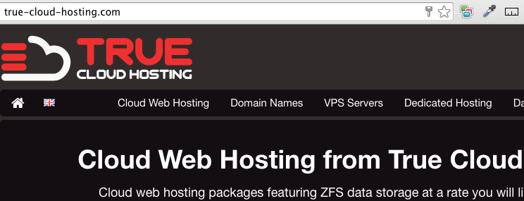 Start web hosting business - branding