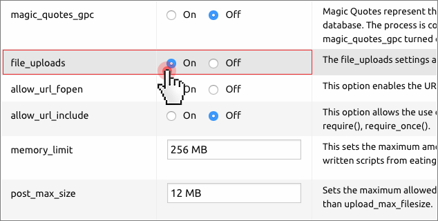 file_uploads