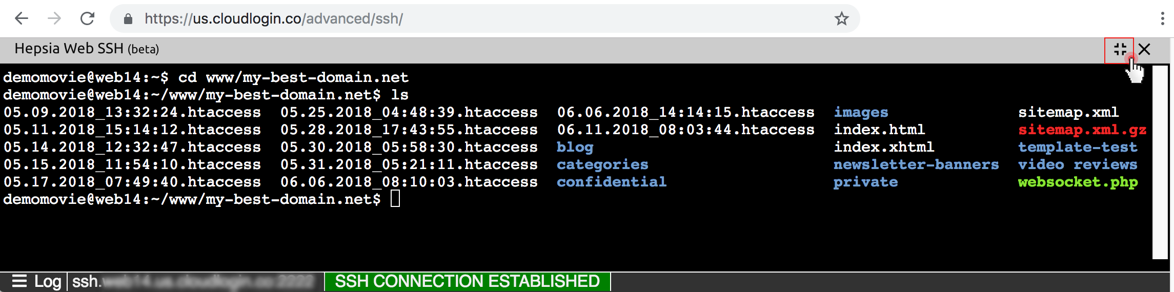 Web-based SSH terminal - full view