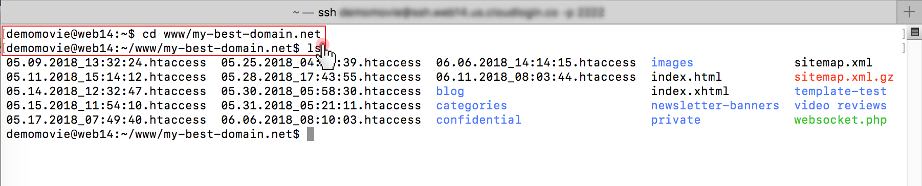 Web-based SSH terminal - common terminal