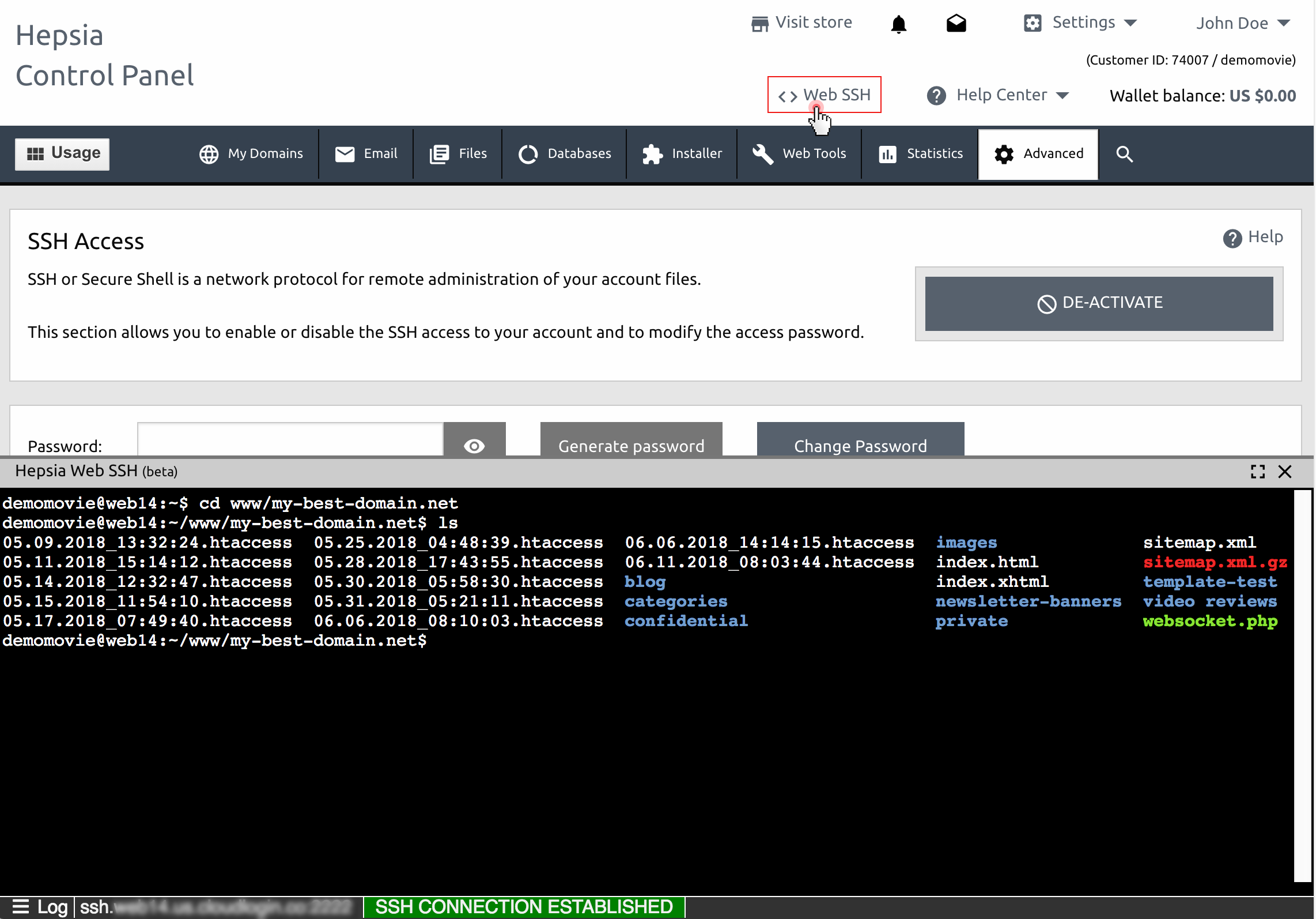 Web-based SSH terminal - example
